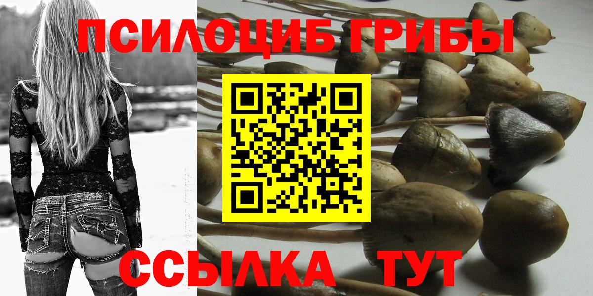 Мичуринск  цена   Псилоцибиновые грибы мухоморы  Вход с VPN  Галлюциногенные грибы MAGIC MUSHROOMS 